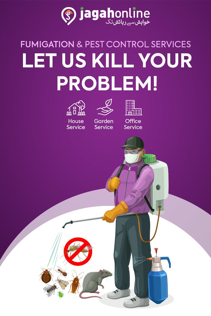 a man with a pest control device in his hand and the words let us kill your problem