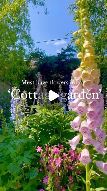 pink and white flowers in a garden with the words must have flowers for this cottage garden