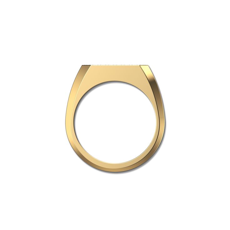 Design: This ring is an avant-garde masterpiece. The octagonal plane is adorned with cultured diamonds, imparting a geometric elegance to this unisex piece. Its robust design embodies a contemporary fusion of style and sophistication. | Metal: Gold Color: 18k Gold Vermeil With its substantial layer of 18k solid gold on sterling silver, 18k Gold Vermeil is not the typical gold plating. It ensures exceptional durability and provides the same appearance, touch, and quality as pure gold at a fractio Diamond Signet Ring, Black Gold Ring, Robust Design, Pure Gold, Diamond Sizes, White Diamonds, Signet Ring, Gold Plating, Black Diamond