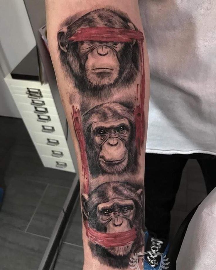 a man with a tattoo on his arm that has three gorillas in different frames