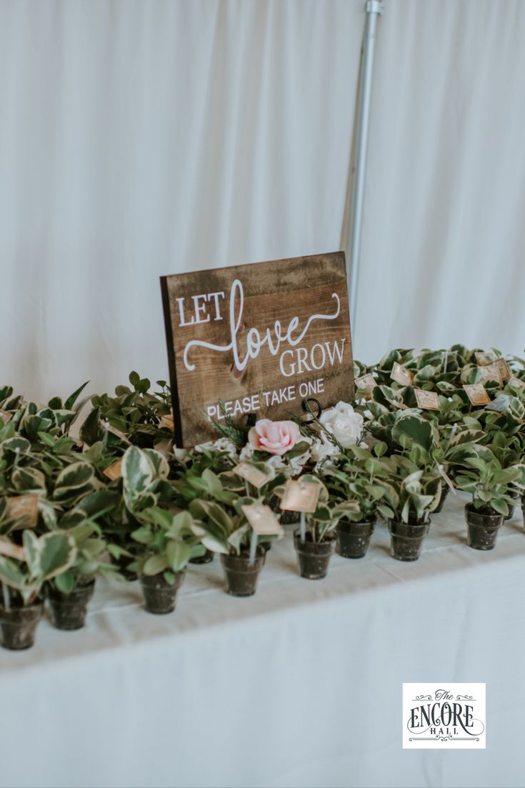 a table topped with potted plants next to a sign that says let love grow