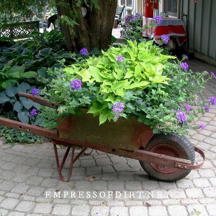 a wheelbarrow filled with purple flowers and greenery