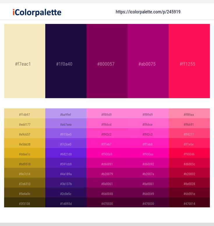 the color palette is shown with different colors in each section, including red, yellow and purple