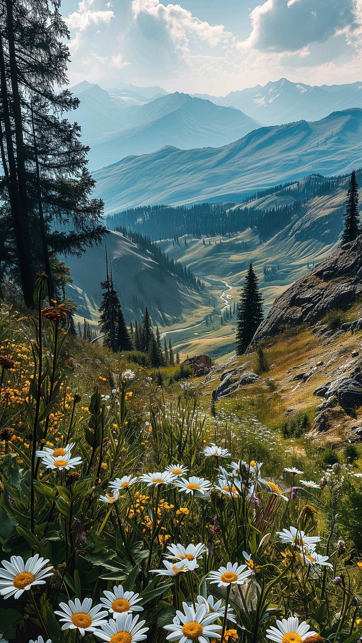 wildflowers on the side of a mountain with mountains in the backgroud