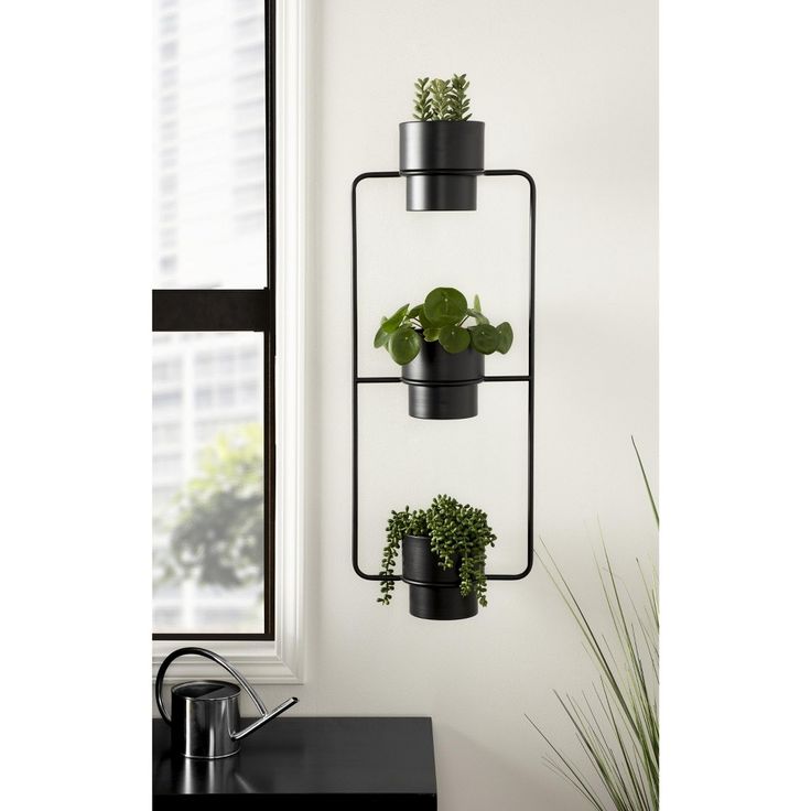 three potted plants are hanging on the wall