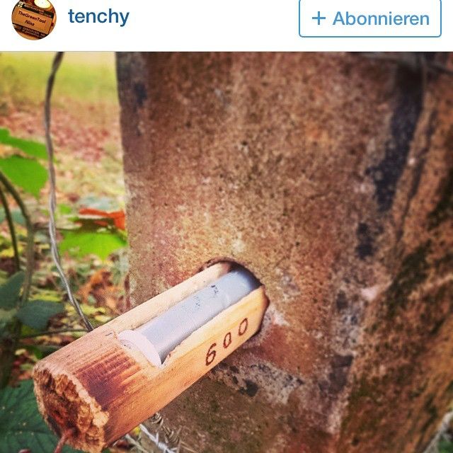 a close up of a piece of wood on a chain link fence next to a tree