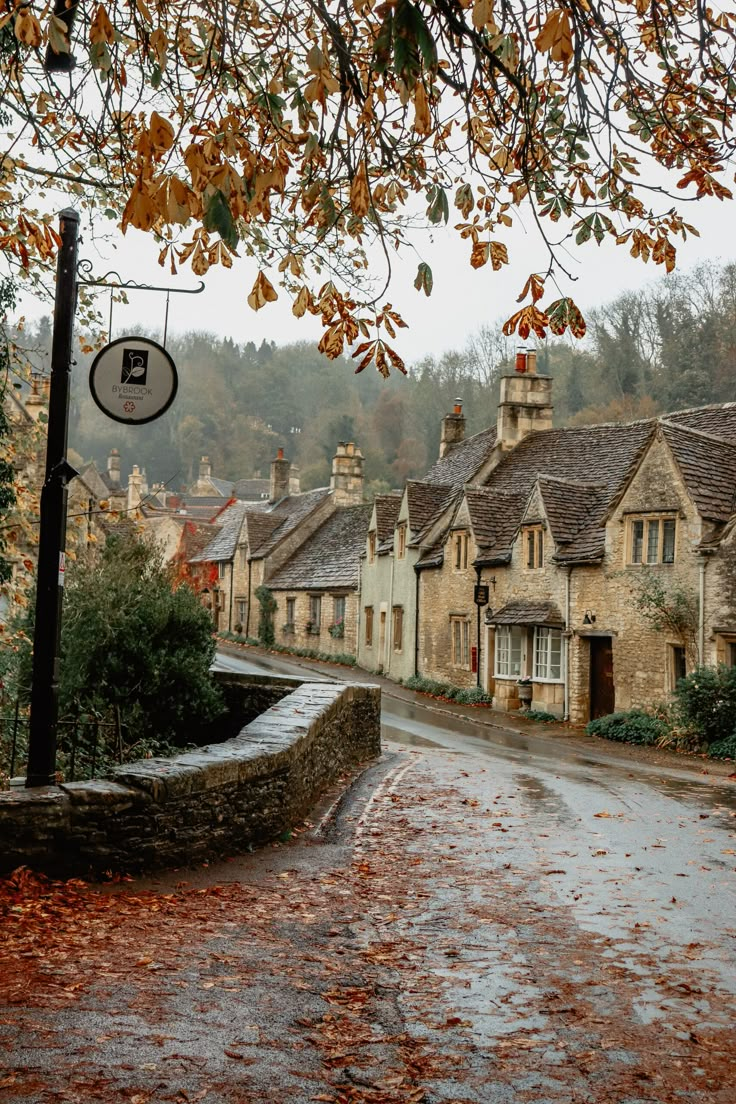 an empty street with houses and trees in the background on a rainy day, surrounded by fallen leaves