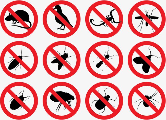 a set of nine signs with different types of bugs