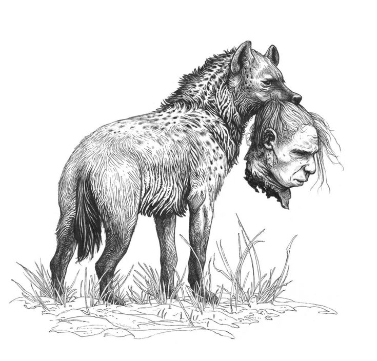 a drawing of a hyena with it's head in the air and its mouth open