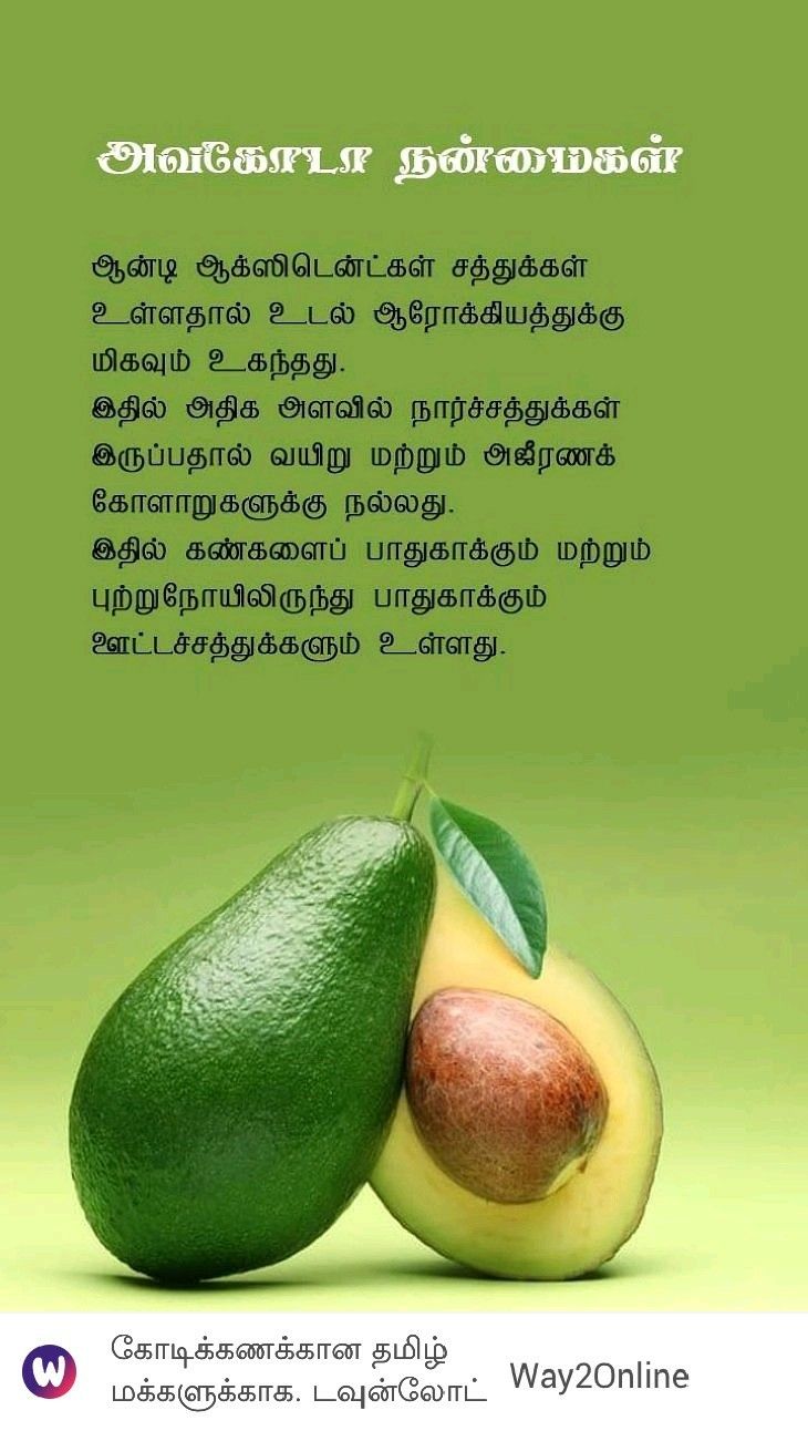 Fruits Benefits, Fruit Facts, Avocado Benefits, Food Benefits, Avocado Health Benefits, Food Health Benefits, Kalam Quotes, Fruit Benefits, Tamil Language