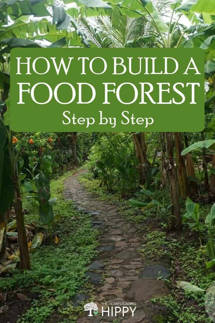 the cover of how to build a food forest step by step with text overlay