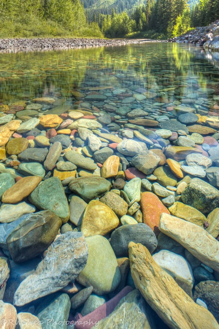 the water is crystal and full of rocks