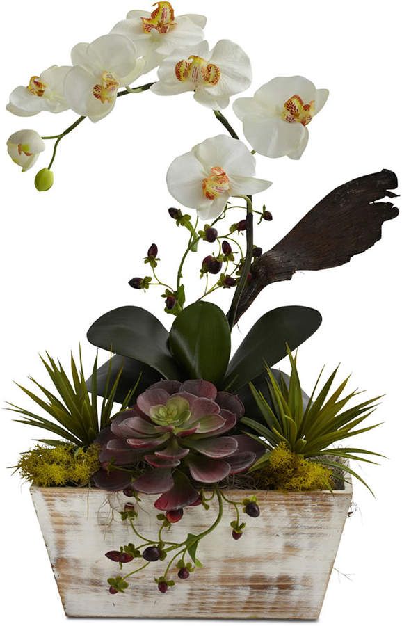 white orchids and succulents in a wooden planter