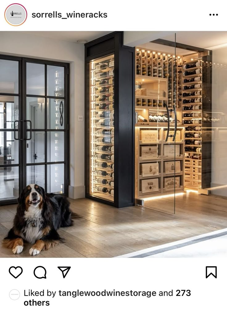 a dog laying on the floor in front of a wine rack