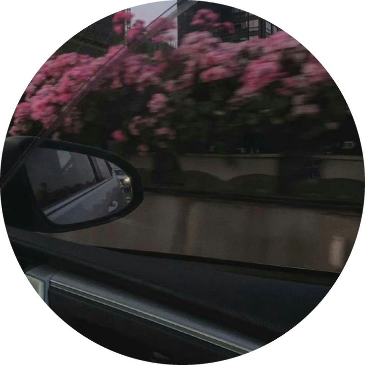 a car's side view mirror with pink flowers in the background