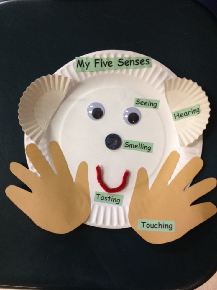 a paper plate with two hands on top of it and the words my five sense