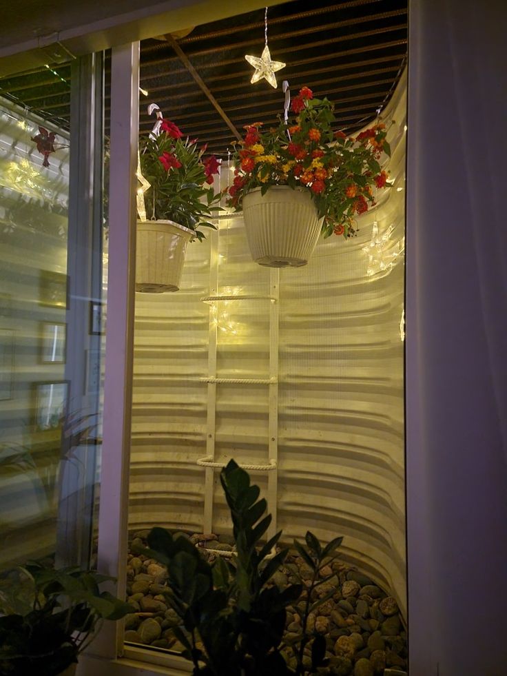 some plants are hanging from the ceiling in front of a window with lights on it