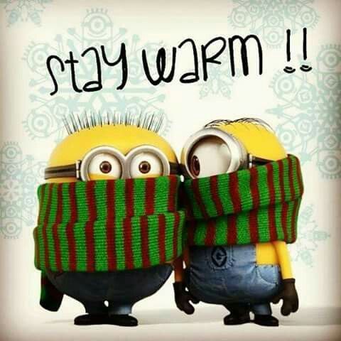 two minion characters wearing scarves with the words stay warm