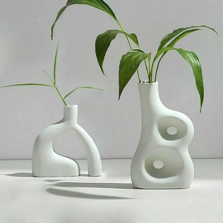 two white vases with green plants in them