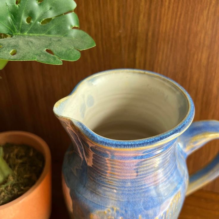 there is a blue pitcher next to a potted plant