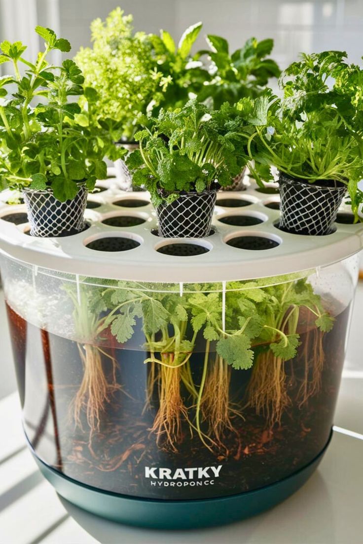 several potted plants are growing in the middle of an indoor planter that is on top of a table