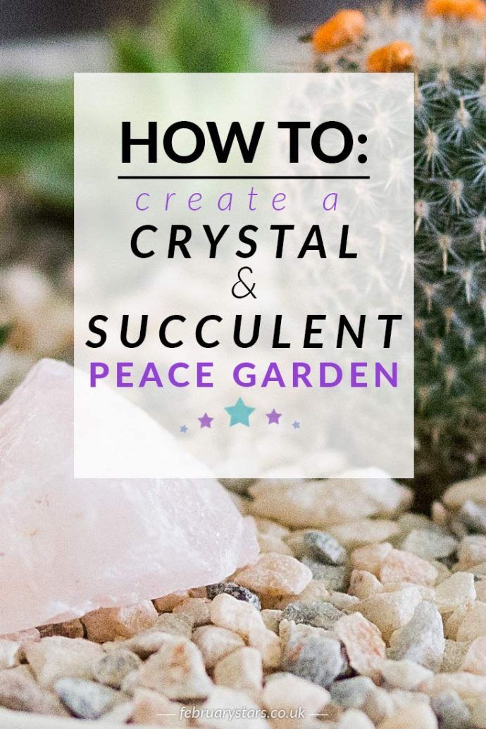 a cactus with the words how to create a crystal and succulent peace garden