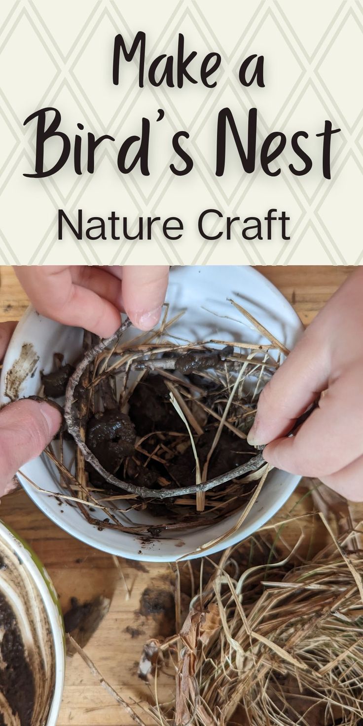 child and parent's hands shaping natural materials into a bowl on a wooden surface with dried grass and mud.  Light tan rectangle across the top with lattice and text overlay. Nature Crafts Kindergarten, Nature Lessons For Kindergarten, Nature Themed Activities For Preschool, Nature Crafts For Middle School, Forest School Bird Activities, Bird Unit Study Preschool, Preschool Forest School Activities, Elementary Nature Activities, Forest School Preschool