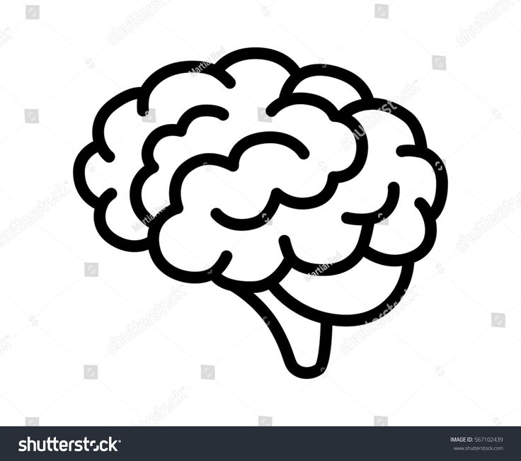 a black and white drawing of a brain