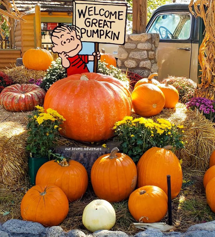 pumpkins and gourds on display in front of a sign that says welcome to great pumpkin