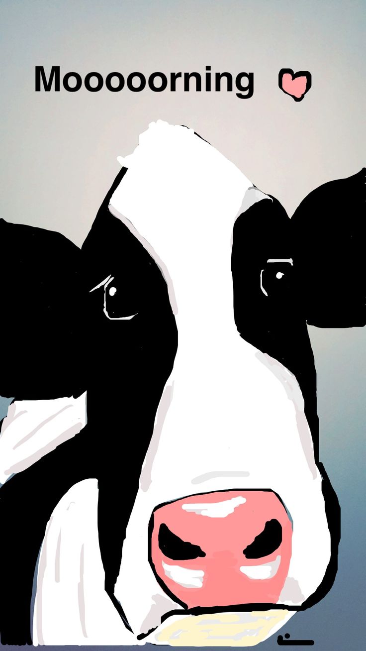 a black and white cow with the words mooooining on it's face