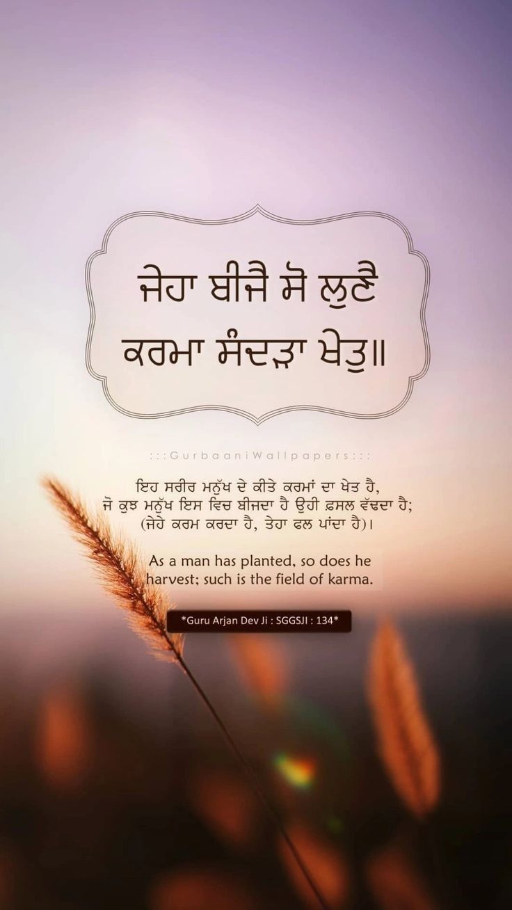 an image of a quote in the language of india