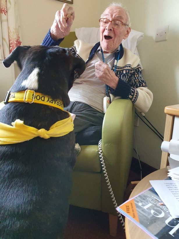 an old man sitting in a chair next to a black and white dog with a yellow collar