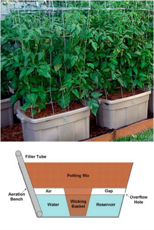 several different types of plants growing in pots with labels on the bottom and below them