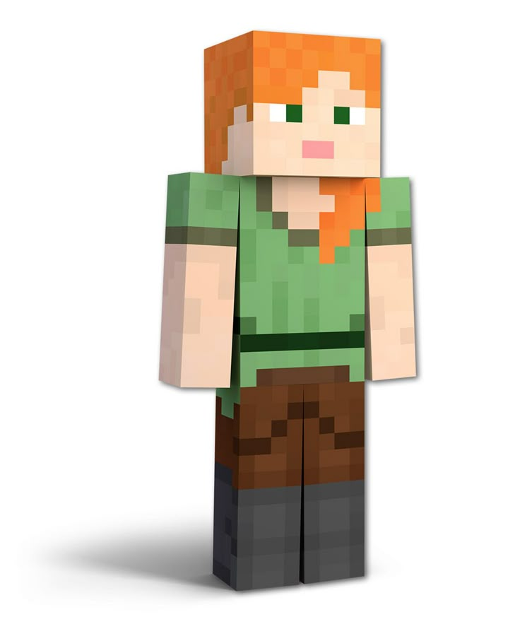 an image of a minecraft character