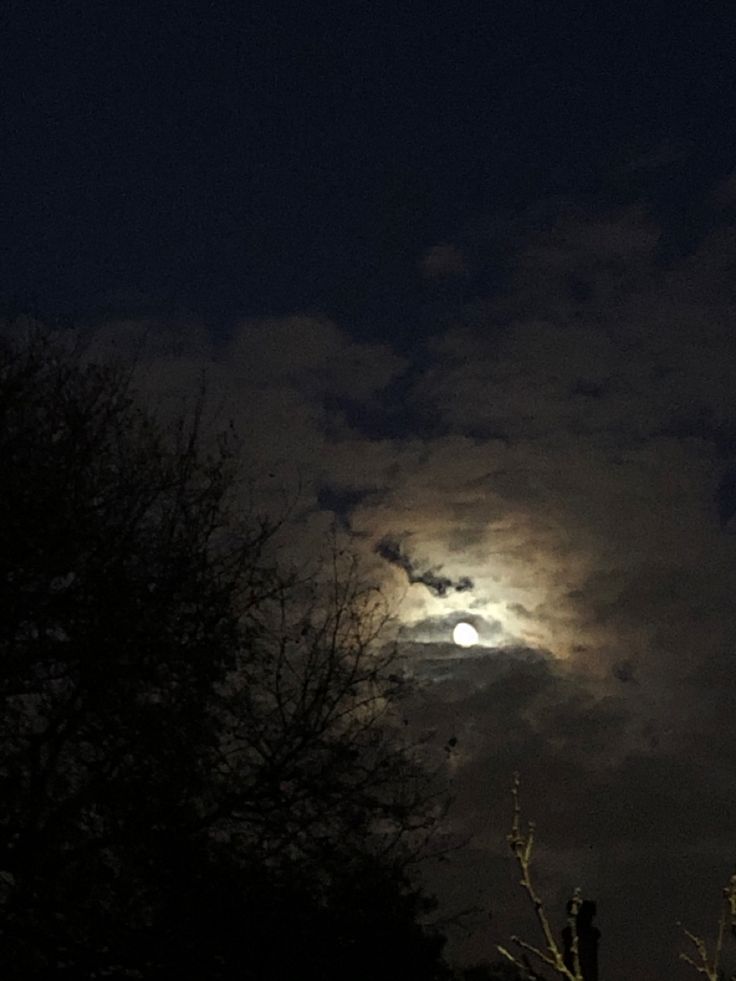 the full moon is shining brightly in the sky above trees and bushes at night time