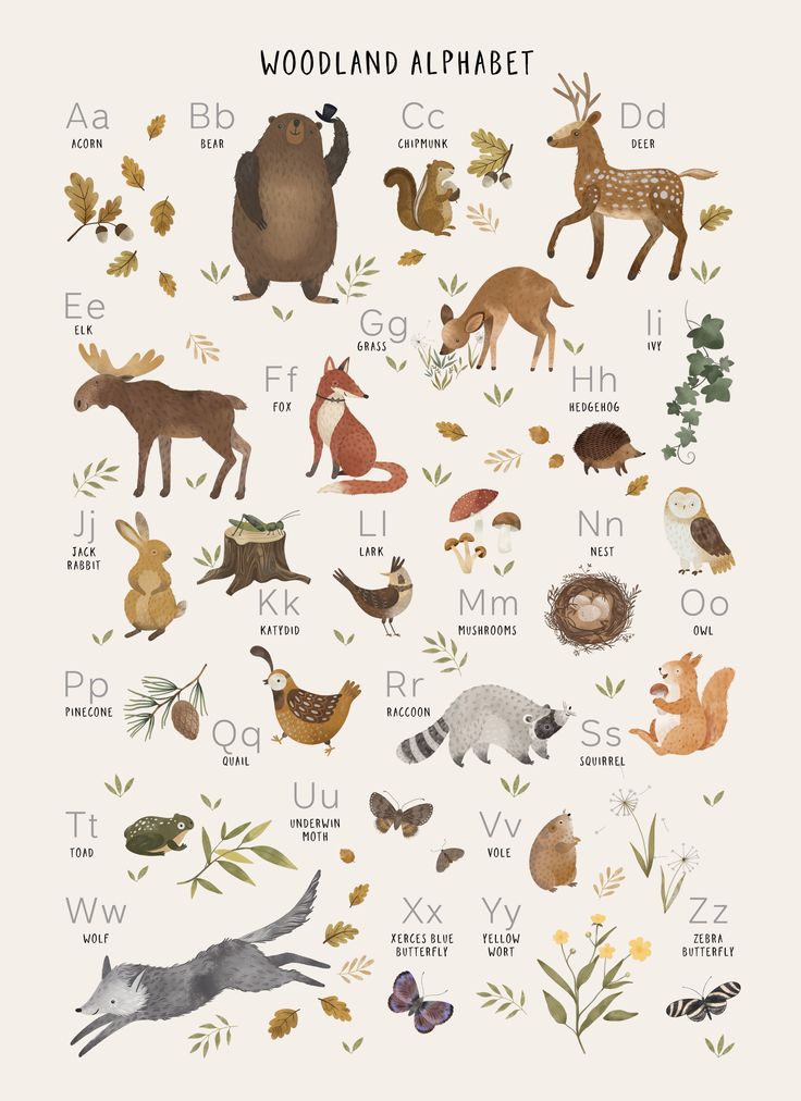 an illustrated poster with animals and letters on it