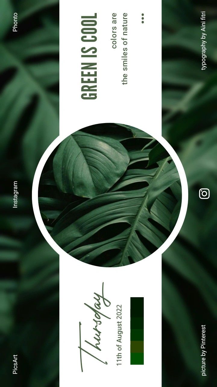 a green leafy plant with the words tropical on it's back and bottom corner