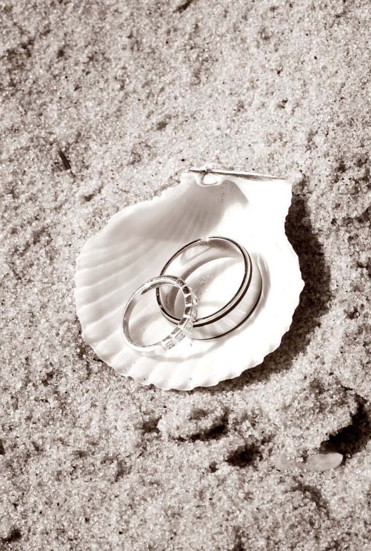 two wedding rings sitting on top of a shell in the sand