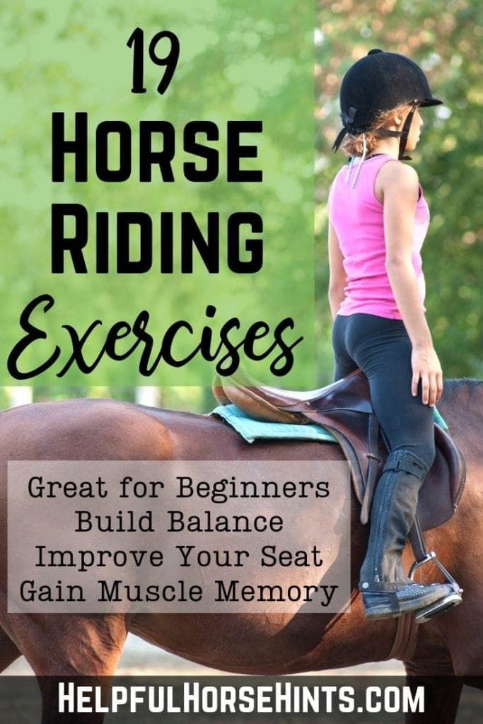 Horse Riding Exercises, Beginner Horse Riding, Horse Schooling, Riding Workout, Riding Exercises, Horse Training Exercises, Horseback Riding Tips, Horseback Riding Lessons, Horse Lessons