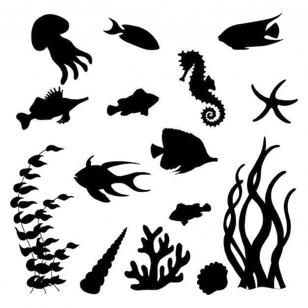 the silhouettes of sea animals and fish