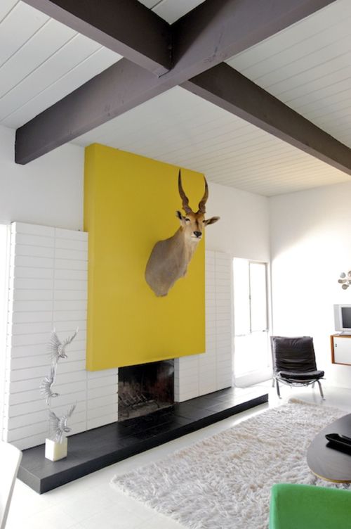 a deer head mounted to the side of a yellow wall next to a white rug