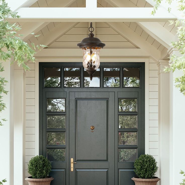 two potted plants sit on the front steps of a house, next to a double door