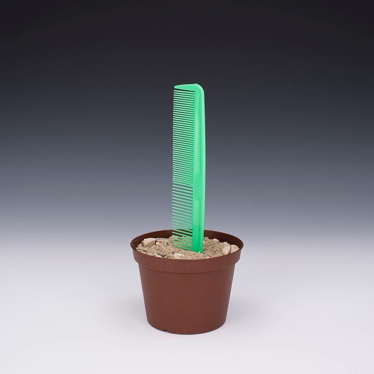 a green comb sitting on top of a brown pot filled with dirt next to a plant