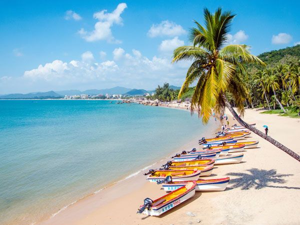 many boats lined up on the beach with palm trees in the foreground and blue water