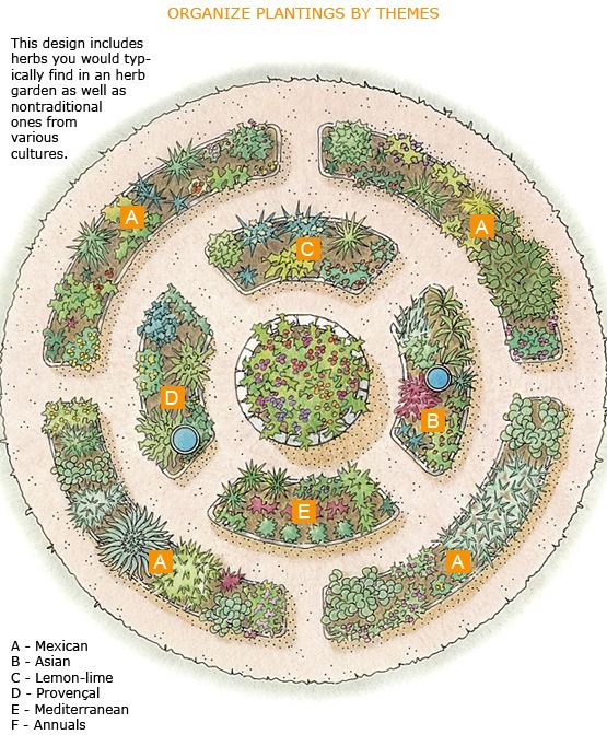 a circular garden design with many different plants