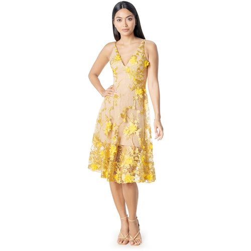 Audrey Sleeveless Bodice Flowy Floral Dress – Dress the Population A Line Dresses For Women, Anthropology Dresses, Figure Flattering Dresses, Audrey Dress, Embellished Midi Dress, Yellow Floral Dress, Flattering Dress, Dress The Population, Lush Garden