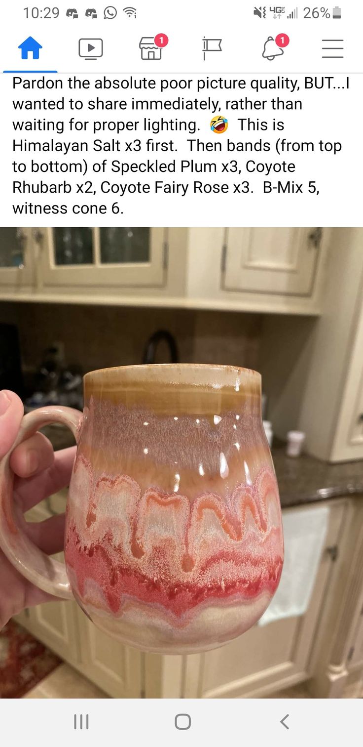 someone is holding up a mug in their kitchen