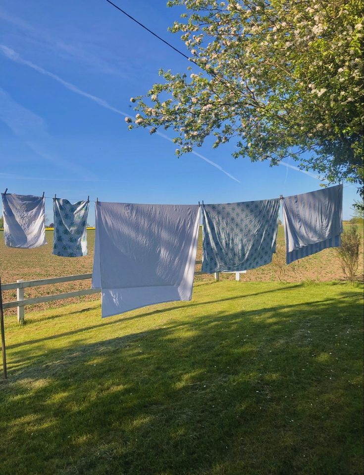 three blue and white towels hanging on clothesline in front of a field with trees