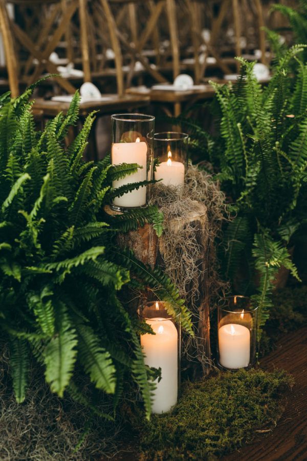 candles are lit in front of ferns and other greenery