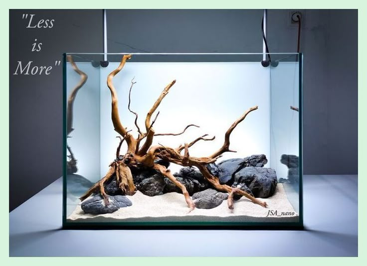 an aquarium filled with rocks and driftwood in it's glass case that says less is more